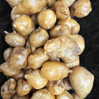 Best Sweet & Sour Pork in Birmingham, AL